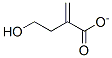 hydroxymethylmethacrylate Struktur