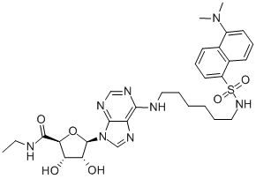 DANSYL-NECA Structure