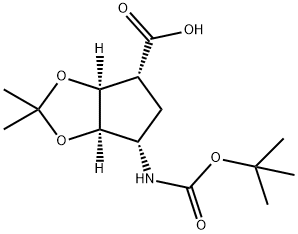 (1R,3S,4R,6S)-N-BOC-6-AMINO-2,2-DIMETHYLTETRAHYDROCYCLOPENTA[1.3]DIOXOLE-4-CARB ACID Struktur