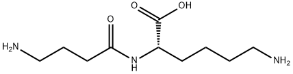 gamma-Aminobutyryl-lysine Structure