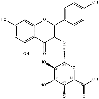 3-(β-D-グルクロノピラノシルオキシ)-5,7-ジヒドロキシ-2-(4-ヒドロキシフェニル)-4H-1-ベンゾピラン-4-オン 化学構造式