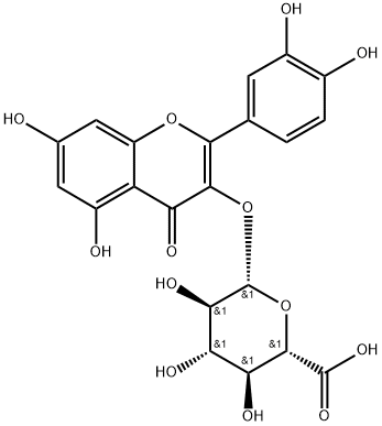 3-(β-D-グルクロノピラノシルオキシ)-5,7-ジヒドロキシ-2-(3,4-ジヒドロキシフェニル)-4H-1-ベンゾピラン-4-オン 化学構造式