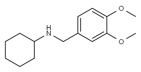 N-(3,4-dimethoxybenzyl)cyclohexanamine Structure