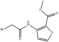 METHYL 3-[(2-BROMOACETYL)AMINO]THIOPHENE-2-CARBOXYLATE 化学構造式
