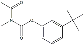 N-Acetyl-N-methylcarbamic acid 3-(1,1-dimethylethyl)phenyl ester Struktur