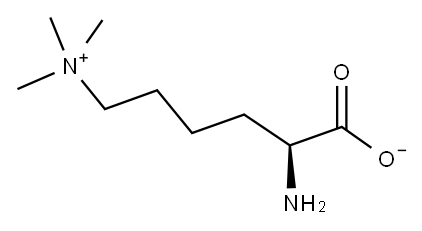 (S)-2-氨基-6-(三甲基铵)己酸内盐, 23284-33-5, 结构式