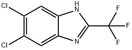5,6-二氯-2-(三氟甲基)-1H-苯并[D]咪唑 结构式