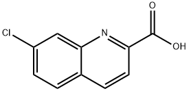 234444-66-7 7-氯喹啉-2-羧酸