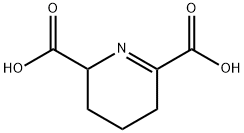 2,3,4,5-tetrahydro-2,6-pyridinedicarboxylic acid Struktur
