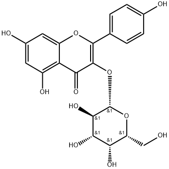 2-(4-ヒドロキシフェニル)-3-(β-D-ガラクトピラノシルオキシ)-5,7-ジヒドロキシ-4H-1-ベンゾピラン-4-オン 化学構造式