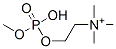 methyl phosphorylcholine Struktur