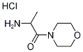 (1-甲基-2-吗啉-4-基-2-氧代乙基)胺盐酸盐 结构式