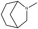 6-Methyl-6-azabicyclo[3.2.1]octane Structure