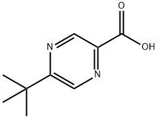 5-(Tert-butyl)pyrazine-2-carboxylic acid Struktur