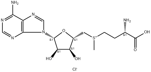 (S)-4-[メチル(5'-アデノシル)スルホニオ]-2-アミノブタン酸·クロリド 化学構造式