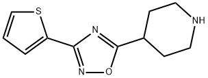 4-[3-(THIEN-2-YL)-1,2,4-OXADIAZOL-5-YL]PIPERIDINE
 化学構造式
