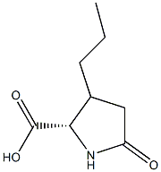 5-oxo-3-propyl-pyrrolidine-2-carboxylic acid|