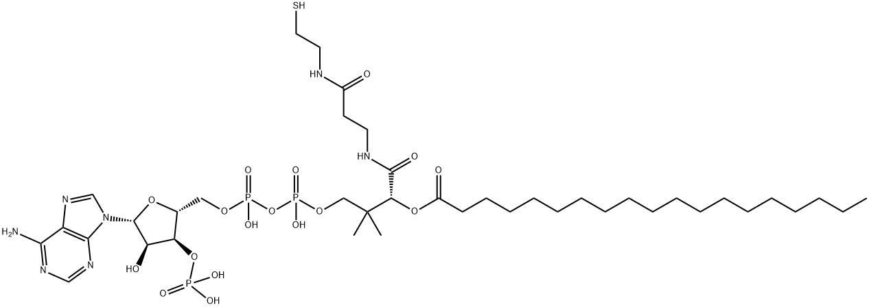 十九酰辅酶A, 25045-61-8, 结构式