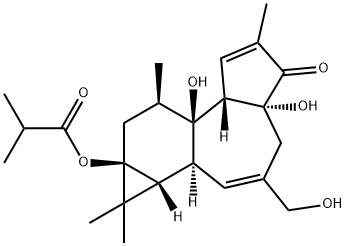 12-DEOXYPHORBOL 13-ISOBUTYRATE Structure