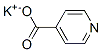 Isonicotinicacidpotassiumsalt 化学構造式