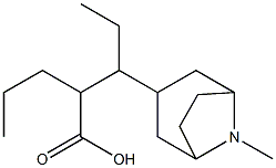 endo-8-methyl-8-azabicyclo[3.2.1]oct-3-yl 2-propylvalerate  Struktur