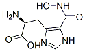 L-HISTIDINE HYDROXAMATE Struktur