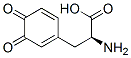 (S)-α-Amino-3,4-dioxo-1,5-cyclohexadiene-1-propanoic acid, 25520-73-4, 结构式