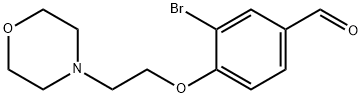 3-BroMo-4-(2-Morpholinoethoxy)benzaldehyde Structure