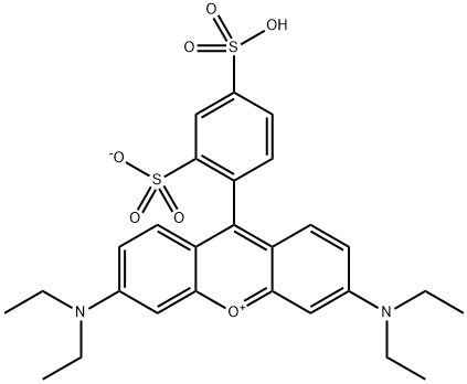 2609-88-3 磺酰罗丹明B,SRB