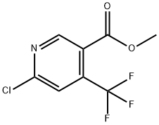 6-クロロ-4-(トリフルオロメチル)ニコチン酸メチル 化学構造式