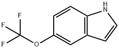 5-三氟甲氧基吲哚,262593-63-5,结构式