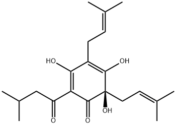 (R)-3,5,6-トリヒドロキシ-4,6-ビス(3-メチル-2-ブテニル)-2-(3-メチル-1-オキソブチル)-2,4-シクロヘキサジエン-1-オン