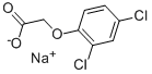 Sodium 2,4-dichlorophenoxyacetate Structure