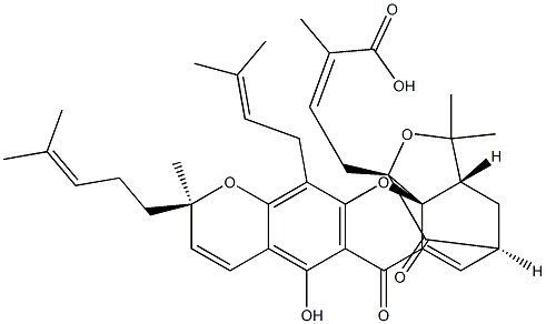 GAMBOGIC ACID