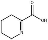 3,4,5,6-tetrahydropyridine-2-carboxylic acid Struktur