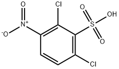2,6-dichloro-3-nitrobenzene-1-sulfonic acid
