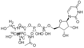URIDINE DIPHOSPHATE N-ACETYL-D-GLUCOSAMINE, [GLUCOSAMINE-14C(U)] Structure
