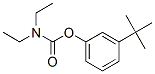 (3-tert-butylphenyl) N,N-diethylcarbamate Struktur