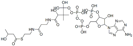 3-ヒドロキシブチリルCoA 化学構造式