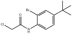 N1-[2-BROMO-4-(TERT-BUTYL)PHENYL]-2-CHLOROACETAMIDE Structure