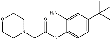 5-(tert-Butyl)-2-[(morpholin-4-yl)acetamido]aniline, 5-(tert-Butyl)-2-[(morpholin-4-yl)acetylamino]aniline, 4-(2-{[2-Amino-4-(tert-butyl)phenyl]amino}-2-oxoethyl)morpholine Structure