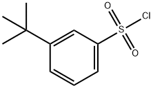 3-叔-丁基苯磺酰氯 结构式