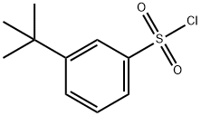 3-TERT-BUTYL BENZENESULFONYL CHLORIDE Struktur