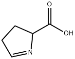 3,4-dihydro-2H-pyrrole-2-carboxylic acid 结构式