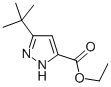 3-叔丁基-1H吡唑-5-甲酸乙酯,294852-57-6,结构式