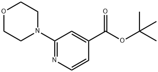 2-(4-MORPHOLINYL)-PYRIDINE-4-CARBOXYLICACIDTERT-부틸에스테르