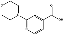 2-MORPHOLIN-4-YL-ISONICOTINIC ACID|2-吗啉异吡啶甲酸