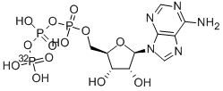 [gamma-32P]-ATP Structure