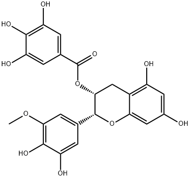 (-)-エピガロカテキン-3'-O-メチルエーテルガレート 化学構造式