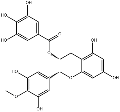 (-)-EGCG-4'-O-ME Struktur